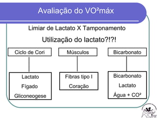 Limiar de Lactato X Tamponamento Utilização do lactato?!?! Ciclo de Cori Músculos Bicarbonato Lactato Fígado  Gliconeogese Fibras tipo I Coração Bicarbonato Lactato Água + CO² 