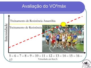 5 – 6 – 7 – 8 – 9 – 10 – 11 – 12 – 13 – 14 – 15 – 16 – 17  Intensidade Treinamento de Resistência Anaeróbia Treinamento de Resistência Aeróbia Velocidade em Km/h 