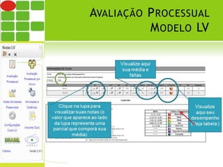 AVALIAÇÃO PROCESSUAL 
MODELO LV 
13 
 