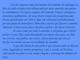 Um dos aspectos mais fascinantes do Caminho de Santiago é o fato de todo o trajeto estar demarcado por setas amarelas que guiam os caminhantes. O trajeto completo do Caminho Francês ultrapassa oitocentos quilômetros. As setas foram criação dos peregrinos,mas foram oficializadas em 1984 e, hoje, são reforçadas periodicamente por um grupo de voluntários.Além deles, muitos que fazem o caminho reforçam e criam novas setas,com fitas, pedras e de outras maneiras. As setas estão por todo o caminho, a tal ponto que é difícil perder o rumo. Elas estão desenhadas nos muros das casas, no chão, nas árvores, nas pedras, nas cercas...Basta procurar por elas de trechos em trechos ou nas encruzilhada do caminho. O que elas dizem de mais forte é que estamos indo na direção certa. Seguindo-as, muitos peregrinos, a pé, a cavalo, de bicicleta, cada um do seu jeito e a seu tempo chegam a Santiago há milhares de anos. 
