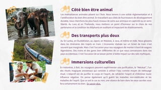 Côté bien être animal
Les maltraitances animales pèsent sur l’Asie. Nous tenons à une solide réglementation et à
l'amélioration du bien-être animal. En travaillant aux côtés de fournisseurs de développement
durable, nous cherchons les plus hauts niveaux de soins aux animaux en captivité ou en semi-
liberté. Au Laos et en Thaïlande, nous mettons un point d’honneur sur le choix de nos
partenaires et la condition les éléphants en auditant et impactant les établissements.
Des transports plus doux
Au Sri Lanka, en Ouzbékistan, au Japon, en Malaisie, à Java, et même en Inde. Nous glissons
dans les itinéraires des trajets en train. L’économie réalisée sur un ticket de train n’est
souvent que marginale. Mais c’est l’occasion pour nos voyageurs de monter à bord de wagons
légendaires. Des trains et des gares bien différentes de ce que nous connaissons dans nos
pays occidentaux. C’est l’occasion de se laisser porter à faible impact sur des rails mythiques.
Immersions culturelles
En Indonésie, à Bali, les voyageurs peuvent expérimenter une purification, le “Melukat”, l'un
des rituels magiques ancestraux qui consiste à utiliser l'eau comme moyen de nettoyage
rituel. L'objectif est de purifier le corps et l'esprit, de rafraîchir l'esprit et d'éliminer toute
influence négative. On pense également qu'il guérit les maladies non-médicales et les
maladies de l'esprit. Que ce soit le cas ou non, une séance de bain dans les eaux sacrées vous
fera certainement du bien. En savoir plus.
 