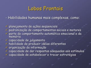 Lobos Frontais
- Habilidades humanas mais complexas, como:
 planejamento de ações seqüenciais
 padronização de comportamentos sociais e motores
 parte do comportamento automático emocional e da
memória
 capacidade de julgamento
 habilidade de produzir idéias diferentes
 organização da informação
 capacidade de dar respostas adequadas aos estímulos
 capacidade de estabelecer e trocar estratégias
 