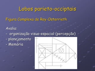 Lobos parieto-occiptais
Figura Complexa de Rey-Osterrieth
Avalia:
- organização visuo-espacial (percepção)
- planejamento
- Memória
 