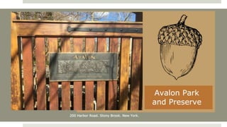 Avalon: Park and Preserve 
