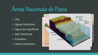 Áreas Nacionais de Pesca
 ZEE
 Águas Interiores
 Água dos Aquíferos
 Mar Territorial
 Estuários
 Mares Interiores
 
