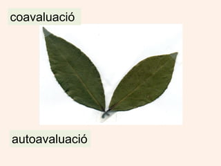 coavaluació




autoavaluació
 