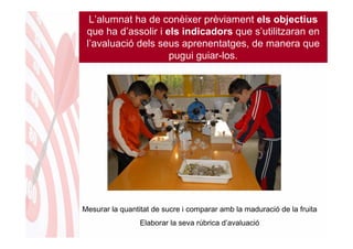 L’alumnat ha de conèixer prèviament els objectius
 que ha d’assolir i els indicadors que s’utilitzaran en
 l’avaluació dels seus aprenentatges, de manera que
                     pugui guiar-los.




Mesurar la quantitat de sucre i comparar amb la maduració de la fruita
                 Elaborar la seva rúbrica d’avaluació
 
