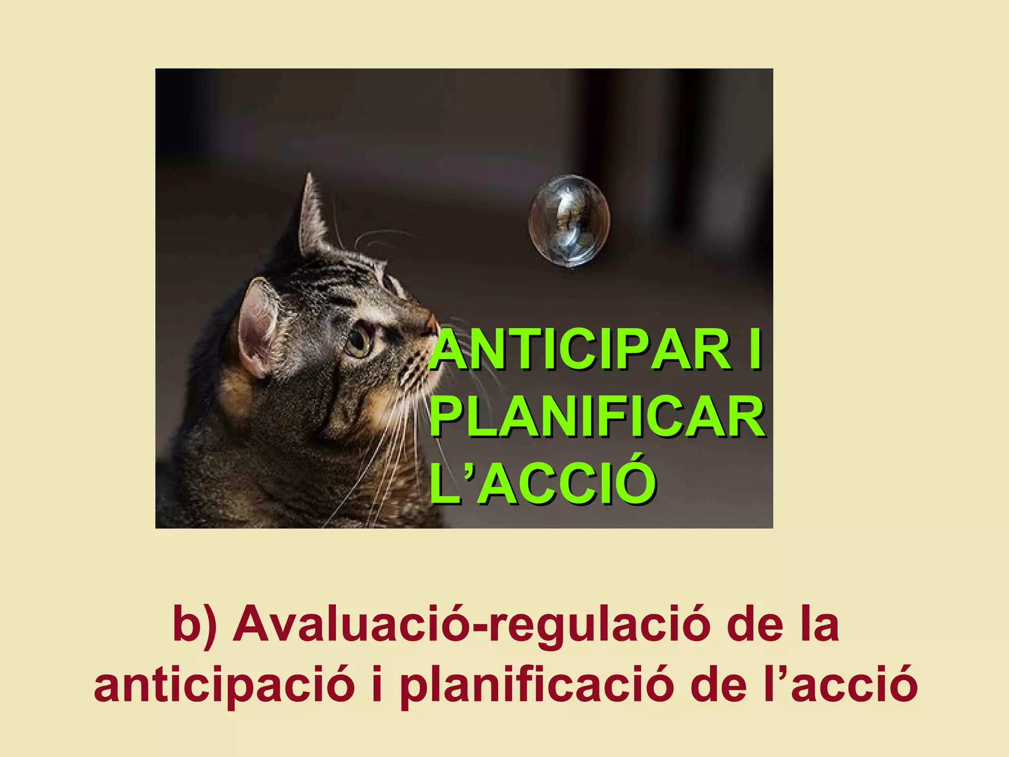 ANTICIPAR I PLANIFICAR L ’ACCI Ó b) Avaluaci ó-r egulació de la anticipaci ó i  planificació de l’acció 
