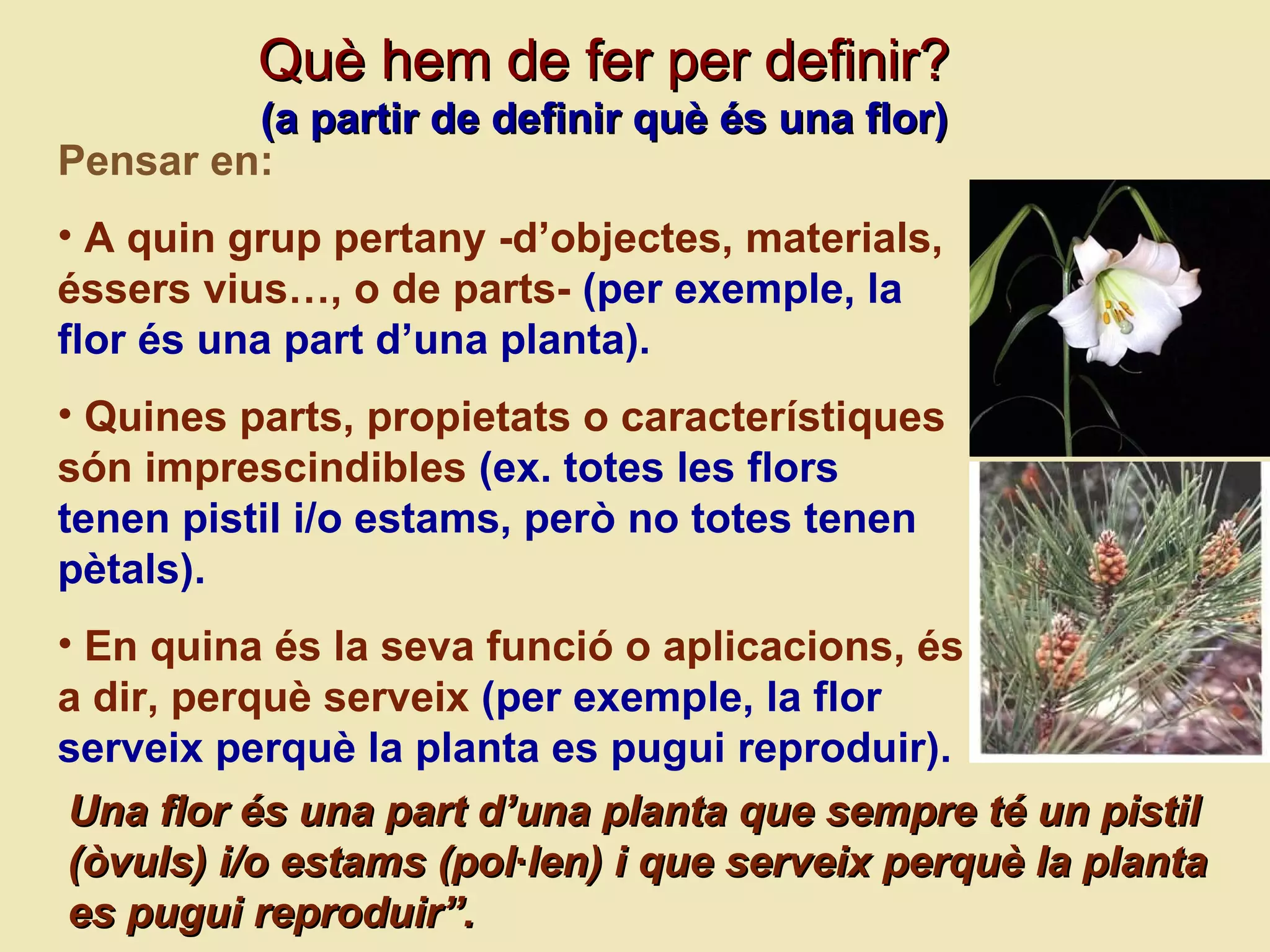 Pensar en: A quin grup pertany -d’objectes, materials, éssers vius…, o de parts-   (per exemple, la flor  és una  part d’una planta). Quines parts, propietats o caracter ístiques  s ón imprescindibles   (ex. totes les flors  tenen pistil i/o estams, per ò no totes tenen  p ètals ). En quina  és la seva funció o aplicacions, és a dir, perquè serveix   (per exemple, la flor serveix perquè la planta es pugui reproduir). Qu è hem de fer per definir? (a partir de definir què és una flor) Una flor és una part d’una planta que sempre té un pistil (òvuls) i/o estams (pol·len) i que serveix perquè la planta es pugui reproduir”. 