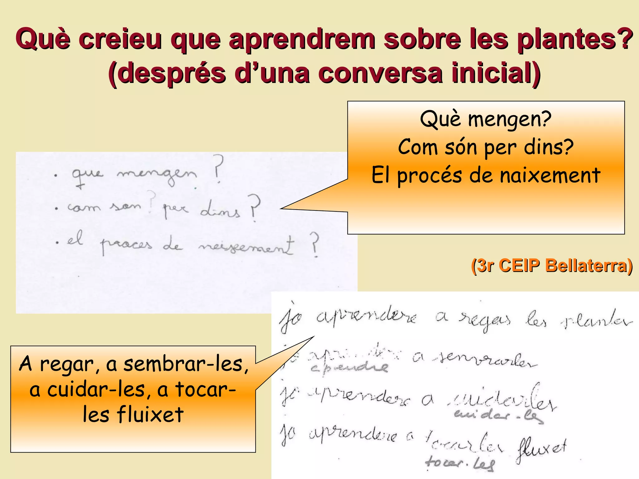 Qu è creieu que aprendrem sobre les plantes ? (despr és d’una conversa inicial) (3r CEIP Bellaterra) Què mengen? Com són per dins? El procés de naixement A regar, a sembrar-les, a cuidar-les, a tocar-les fluixet 