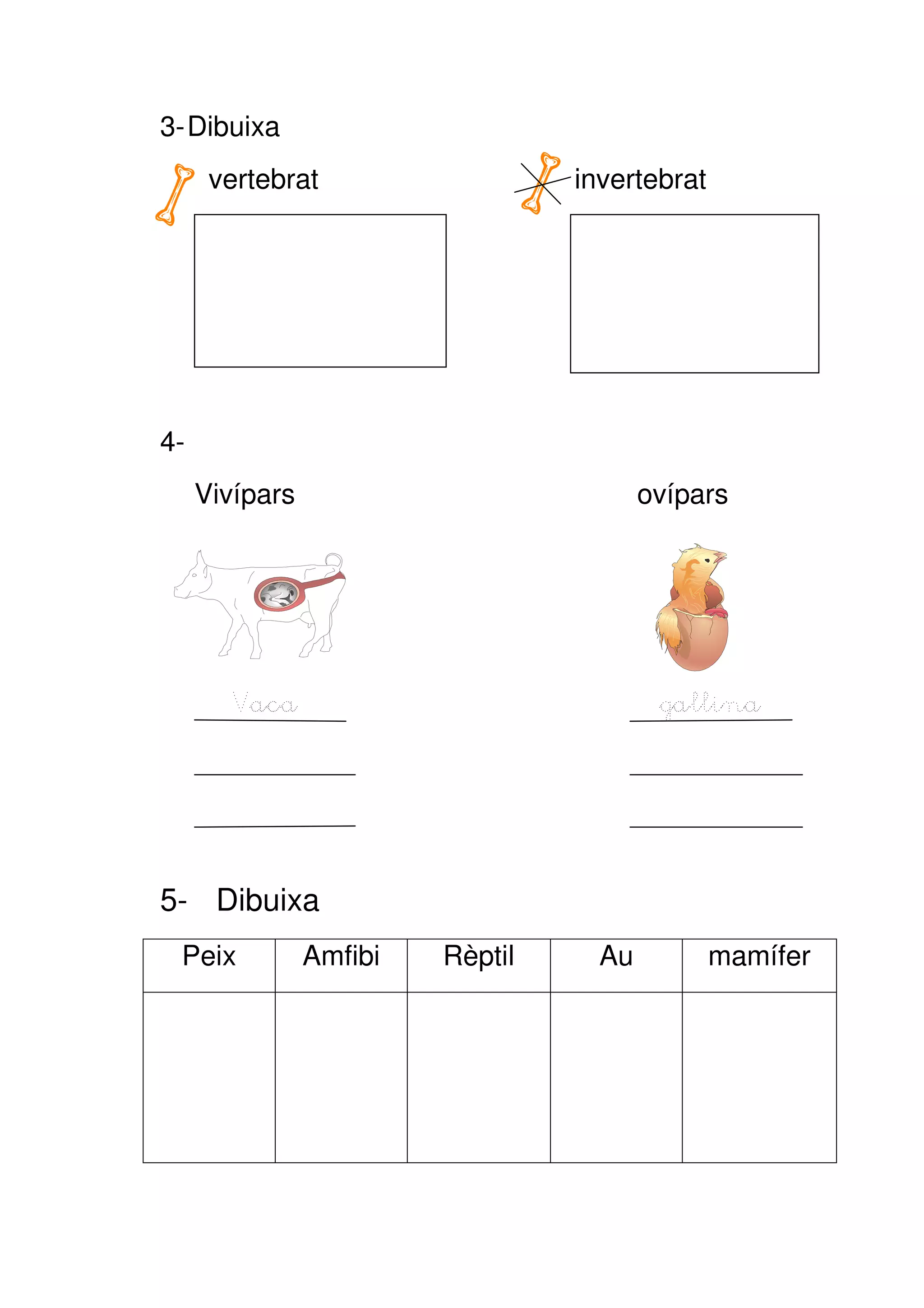 3- Dibuixa
      vertebrat                   invertebrat




4-
     Vivípars                            ovípars




       Vaca                               gallina




5- Dibuixa
 Peix           Amfibi   Rèptil     Au          mamífer
 