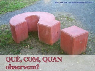 QUÈ, COM, QUAN
observem?
 
