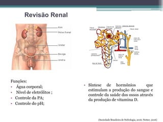 Revisão Renal
Funções:
• Água corporal;
• Nível de eletrólitos ;
• Controle da PA;
• Controle do pH;
• Síntese de hormônios que
estimulam a produção do sangue e
controle da saúde dos ossos através
da produção de vitamina D.
(Sociedade Brasileira de Nefrologia, 2016; Netter, 2016)
 