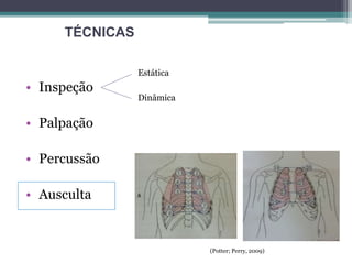 • Inspeção
• Palpação
• Percussão
• Ausculta
Estática
Dinâmica
TÉCNICAS
(Potter; Perry, 2009)
 