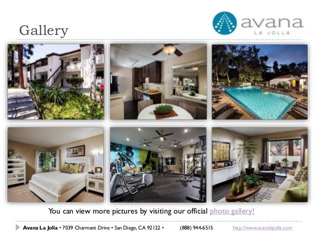 Modern Avana La Jolla Apartments Reviews for Large Space