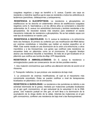 coagulasa negativos y luego se transfirió a S. aureus. Cuando una cepa es
resistente a meticilina significa que la cepa es resistente a todos los antibióticos β-
lactámicos (penicilinas, cefalosporinas y carbapenems).
RESISTENCIA A GLICOPÉPTIDOS: La resistencia a glicopéptidos en
estafilococos se ha descrito en aislamientos clínicos de estafilococos coagulasa
negativos como S. haemolyticus y en los últimos años se comenzaron a describir
aislamientos de S. aureus con sensibilidad disminuida y también resistentes a los
glicopéptidos. Se necesitan todavía más estudios para establecer el exacto
mecanismo molecular de resistencia a glicopéptidos. No se han aislado cepas con
este tipo de resistencia en nuestro país.
RESISTENCIA A MACRÓLIDOS: En S. aureus la resistencia a la eritromicina
tiene dos fenotipos. El primero es conferido por una modificación del rRNA blanco
por enzimas constitutivas o inducibles que metilan un residuo específico en el
rRNA. Este evento resulta en una disminución de la unión a la eritromicina, a otros
macrólidos y a las lincosaminas. Los genes que codifican esta resistencia se
encuentran tanto en plásmidos como en el cromosoma. El segundo fenotipo
abarca una resistencia inducible a macrólidos. Se trata de un gen localizado en un
plásmido que codifica una bomba de eflujo ATP-dependiente.
RESISTENCIA A AMINOGLUCÓSIDOS: En S. aureus la resistencia a
aminoglucósidos puede ser consecuencia de uno de tres posibles eventos.
1. Una mutación cromosómica que codifica una alteración del sitio de acción en el
ribosoma.
2. Transporte inefectivo, lo que produce una resistencia de bajo nivel.
3. La producción de enzimas modificadoras, el cual es el mecanismo más
comúnmente encontrado. Estas se pueden codificar a nivel de transposones
localizados en plásmidos o en el cromosoma.
RESISTENCIA A QUINOLONAS: La resistencia a las quinolonas es debida a una
actividad disminuida de la girasa, mediada por mutaciones puntuales localizadas
en el gen gyrA cromosómico, el gen estructural de la subunidad A de la DNA
girasa. Una mutación puntual en otro gen, el norA lleva a la disminución de la
acumulación de la droga dentro de la célula. Además las mutaciones en el gen
grlA cromosómico, confieren una resistencia de bajo nivel a las fluoroquinolonas.
 