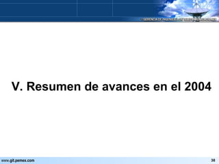 V. Resumen de avances en el 2004 