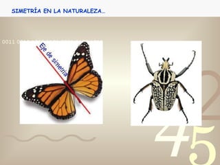 SIMETRÍA EN LA NATURALEZA… 