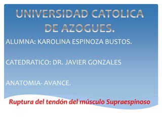 ALUMNA: KAROLINA ESPINOZA BUSTOS.
CATEDRATICO: DR. JAVIER GONZALES
ANATOMIA- AVANCE.
PRIMER CICLO MEDICINA B.Ruptura del tendón del músculo Supraespinoso
 