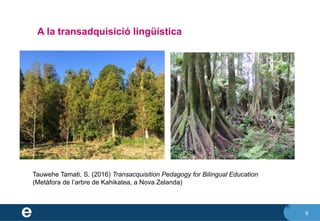 6
A la transadquisició lingüística
6
Tauwehe Tamati, S. (2016) Transacquisition Pedagogy for Bilingual Education
(Metàfora de l’arbre de Kahikatea, a Nova Zelanda)
 