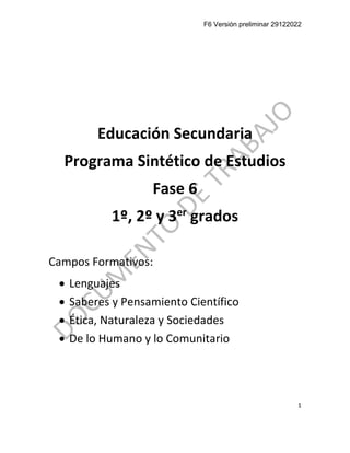 F6 Versión preliminar 29122022
1
Educación Secundaria
Programa Sintético de Estudios
Fase 6
1º, 2º y 3er
grados
Campos Formativos:
• Lenguajes
• Saberes y Pensamiento Científico
• Ética, Naturaleza y Sociedades
• De lo Humano y lo Comunitario
 