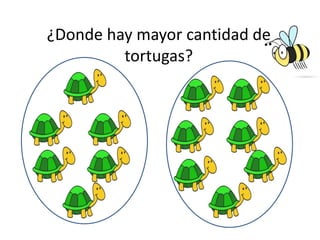 ¿Donde hay mayor cantidad de
tortugas?
 