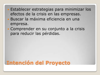 Intención del ProyectoEstablecer estrategias para minimizar los efectos de la crisis en las empresas.Buscar la máxima eficiencia en una empresa.Comprender en su conjunto a la crisis para reducir las pérdidas.