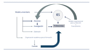 IES
Modelo universitario
Investigación
Extensión
Docencia Modelo organizacional
para su dirección
y
financiamiento
Organización académica para la formación
Currículo
Profesionistas
 