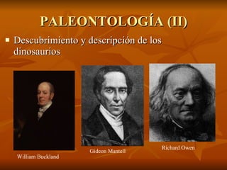 PALEONTOLOGÍA (II) Descubrimiento y descripción de los dinosaurios William Buckland Gideon Mantell Richard Owen 