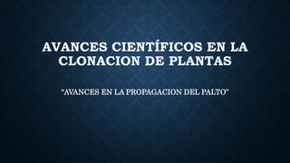 AVANCES CIENTÍFICOS EN LA
CLONACION DE PLANTAS
“AVANCES EN LA PROPAGACION DEL PALTO”
 