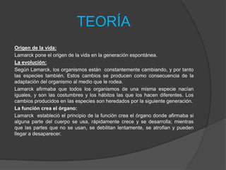 TEORÍA
Origen de la vida:
Lamarck pone el origen de la vida en la generación espontánea.
La evolución:
Según Lamarck, los organismos están constantemente cambiando, y por tanto
las especies también. Estos cambios se producen como consecuencia de la
adaptación del organismo al medio que le rodea.
Lamarck afirmaba que todos los organismos de una misma especie nacían
iguales, y son las costumbres y los hábitos las que los hacen diferentes. Los
cambios producidos en las especies son heredados por la siguiente generación.
La función crea el órgano:
Lamarck estableció el principio de la función crea el órgano donde afirmaba si
alguna parte del cuerpo se usa, rápidamente crece y se desarrolla; mientras
que las partes que no se usan, se debilitan lentamente, se atrofian y pueden
llegar a desaparecer.

 