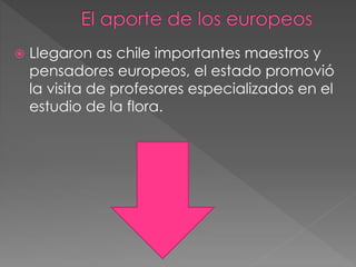  Llegaron as chile importantes maestros y
pensadores europeos, el estado promovió
la visita de profesores especializados en el
estudio de la flora.
 