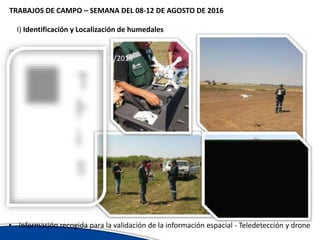 Avances del inventario nacional de humedales erick garcia ana