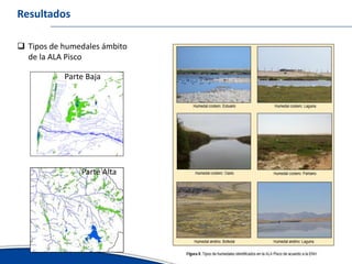 Avances del inventario nacional de humedales erick garcia ana