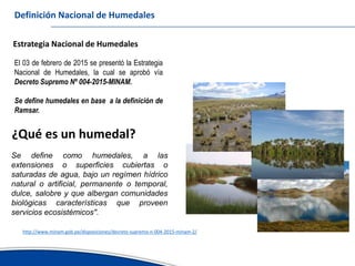 Avances del inventario nacional de humedales erick garcia ana