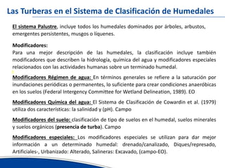 Avances del inventario nacional de humedales erick garcia ana