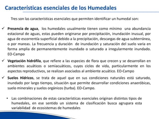Avances del inventario nacional de humedales erick garcia ana