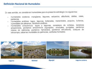 Avances del inventario nacional de humedales erick garcia ana