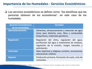 Avances del inventario nacional de humedales erick garcia ana