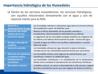 Avances del inventario nacional de humedales erick garcia ana