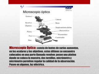 Microscopio Óptico: consta de lentes de varios aumentos,
en los oculares y los objetivos, estos últimos se encuentra
colocados en una parte llamada revolver, posee una platina
donde se coloca la muestra, dos tornillos, micrómetro y
micrómetro permiten regular la calidad de la observación.
Posee en algunos, luz eléctrica.
 