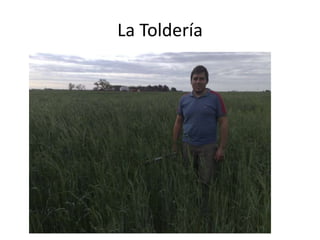 La Toldería