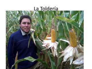 La Toldería