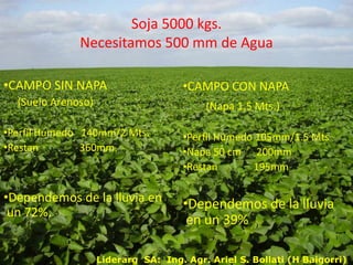 Soja 5000 kgs.Necesitamos 500 mm de AguaCAMPO SIN NAPA(Suelo Arenoso)Perfil Húmedo   140mm/2 Mts.Restan                360mm.Dependemos de la lluvia en un 72%.CAMPO CON NAPA(Napa 1,5 Mts.)Perfil Húmedo 105mm/1.5 MtsNapa 50 cm      200mmRestan              195mmDependemos de la lluvia en un 39%Liderarg  SA:  Ing. Agr. Ariel S. Bollati (H Baigorri)