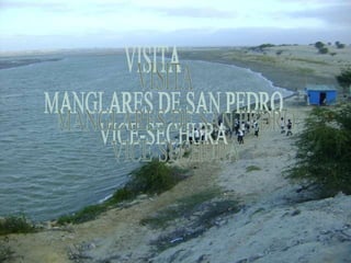 VISITA MANGLARES DE SAN PEDRO VICE-SECHURA 