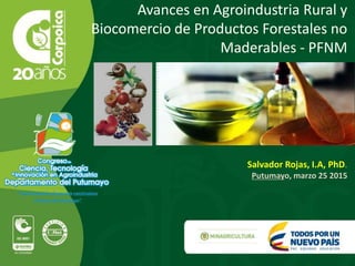 Avances en Agroindustria Rural y
Biocomercio de Productos Forestales no
Maderables - PFNM
Salvador Rojas, I.A, PhD.
Putumayo, marzo 25 2015
 