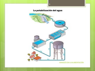 AVANCES EN LA ALIMENTACIÓN
6
 