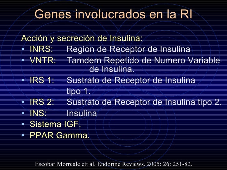 Avances en la fisiopatologia de la Diabetes Mellitus tipo 2 Avances en la fisiopatologia de la Diabetes Mellitus tipo 2