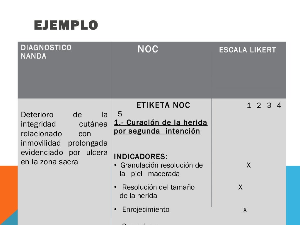 Avances en la taxonomia nanda ,noc , nic