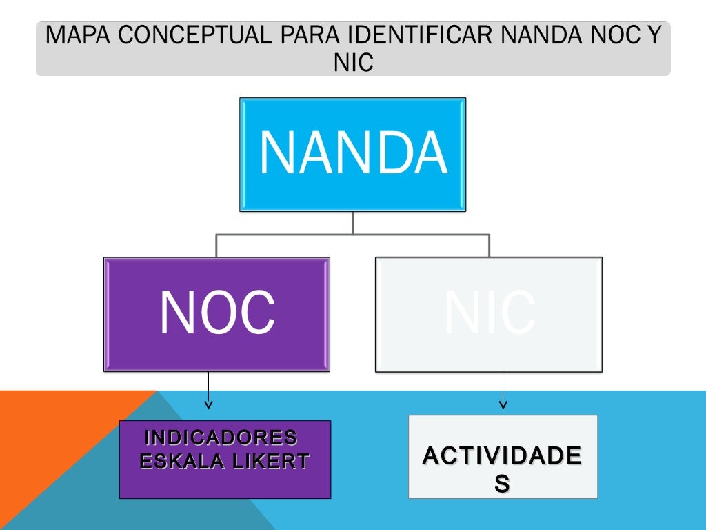 Avances en la taxonomia nanda ,noc , nic